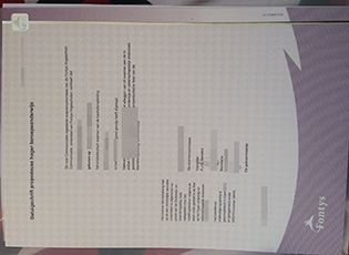 buy Fontys University fake diploma, 