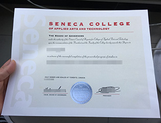 where to purchase fake Seneca Colleg