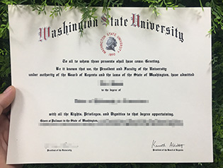 how to buy Washington State Universi