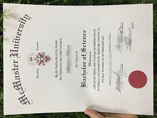 a fake degree from McMaster Universi