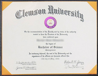 5 Ways of Clemson University fake di