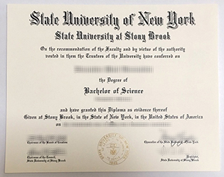 Buy Stony Brook University Fake Dipl