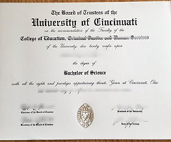 Where to Buy University of Cincinnat