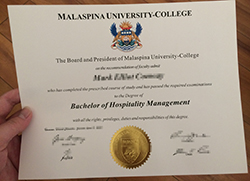 Where to Obtain Malaspina University