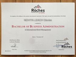 Where to Buy Roches international ho
