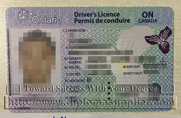 Canadian Driver Licence, Ontario Driver Licence, fake card
