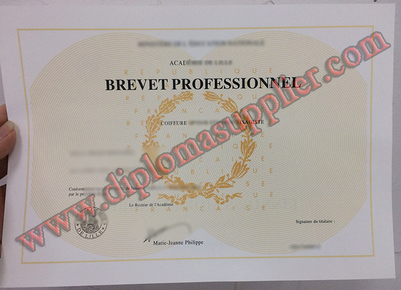 Academie DE Lille Fake Diploma Sample, Buy France Fake Degree