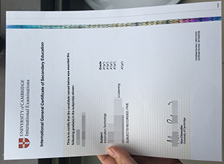 fake IGCSE certificate from Universi