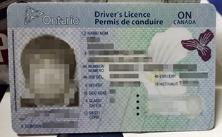 where to buy fake Canadian Driver Li