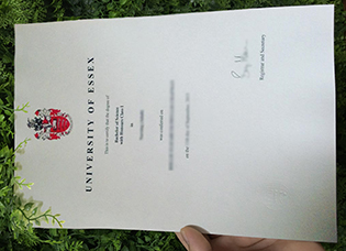 University of Essex fake diploma, ho