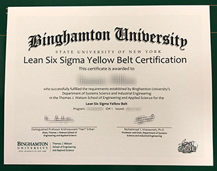 Binghamton University Six Sigma Fake