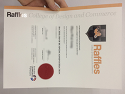 How to Buy Raffles college of design