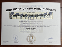 Buy University of New York in Prague