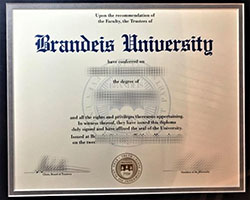 How to Buy Brandeis University Fake 