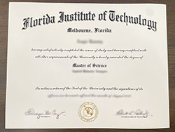 How Much For a Florida Institute of 