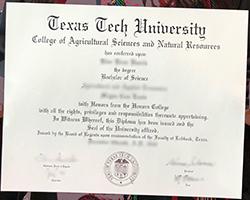 Where to Obtain Texas Tech Universit