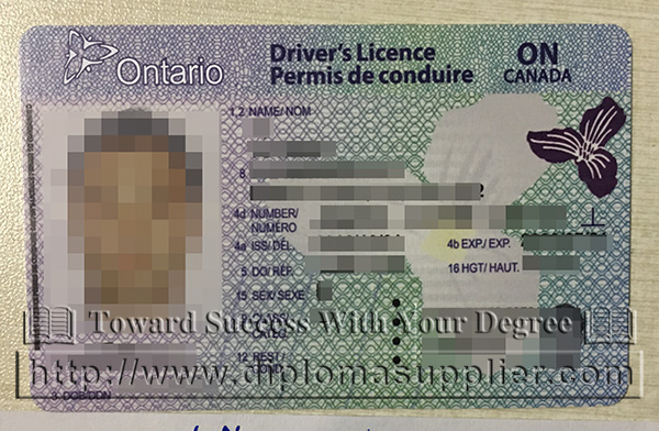 where to buy fake Canadian Driver Licence