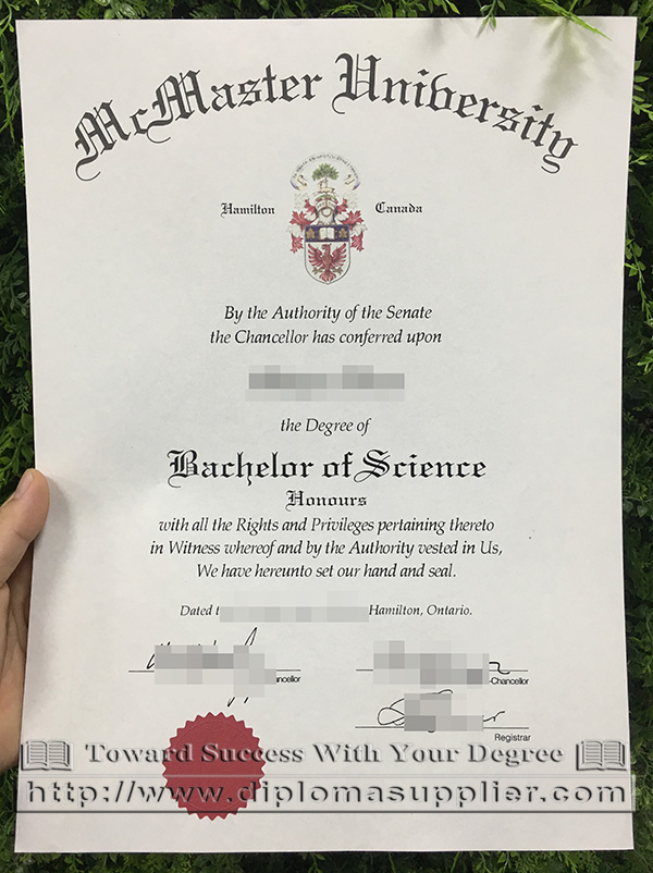 a fake degree from McMaster University, would you want it?