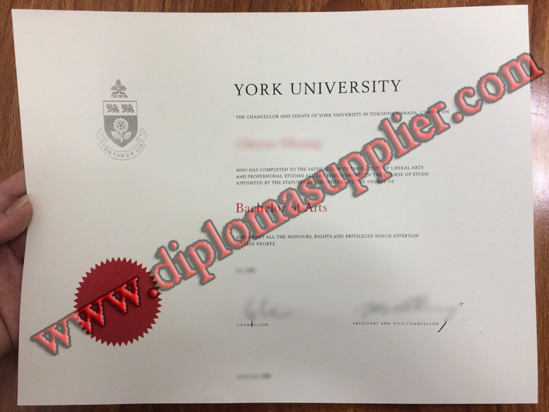 Where to Buy York University Fake Diploma degree?